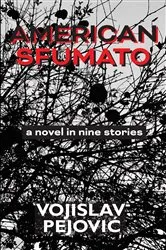 Book cover of American Sfumato by Unknown