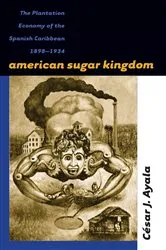 Book cover of American Sugar Kingdom by César J. Ayala