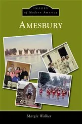 Book cover of Amesbury by Margie Walker