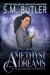 Book cover of Amethyst Dreams by S.M. Butler
