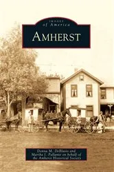 Book cover of Amherst by Donna M. DeBlasio