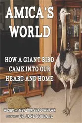 Book cover of Amica's World by Meadow Shadowhawk