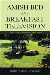 Book cover of Amish Bed and Breakfast Television by Joseph 