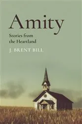 Book cover of Amity by Danica Peck