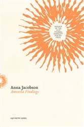 Book cover of Amnesia Findings by Anna Jacobson