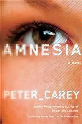 Book cover of Amnesia by Arjun Subrahmanyan