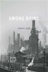 Book cover of Among Ruins by Robert Gibb