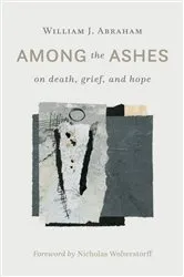 Book cover of Among the Ashes by William J. Abraham
