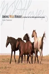 Book cover of Among Wild Horses by Lynne Pomeranz