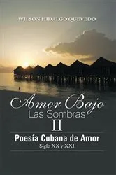 Book cover of Amor Bajo Las Sombras Ii by Wilson Hidalgo Quevedo