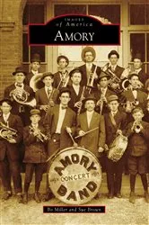 Book cover of Amory by Bo Miller