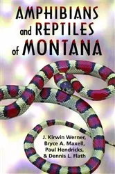 Book cover of Amphibians and Reptiles of Montana by Kirwin J. Werner