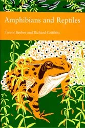 Book cover of Amphibians and Reptiles by Unknown