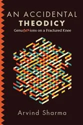 Book cover of An Accidental Theodicy by Unknown