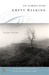 Book cover of An Almost Pure Empty Walking by Tryfon Tolides