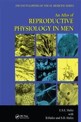 Book cover of An Atlas of Reproductive Physiology in Men by B. Hafez