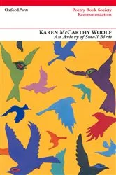 Book cover of An Aviary of Small Birds by Karen McCarthy Woolf