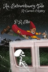 Book cover of An Extraordinary Tale by P.R. Ellis