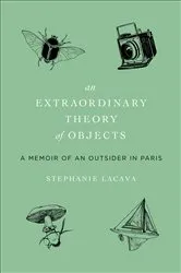 Book cover of An Extraordinary Theory of Objects by Stephanie LaCava