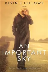 Book cover of An Important Sky by Kevin J Fellows