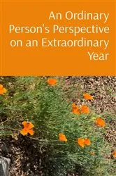 Book cover of An Ordinary Person's Perspective on an Extraordinary Year by Beth Donovan