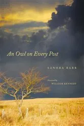 Book cover of An Owl On Every Post (4th ed.) by Sanora Babb