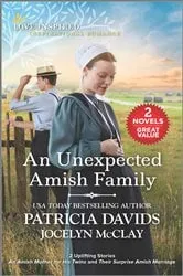 Book cover of An Unexpected Amish Family by Patricia Davids