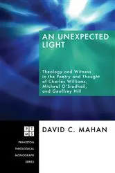 Book cover of An Unexpected Light by David C. Mahan