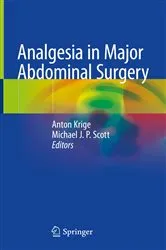 Book cover of Analgesia in Major Abdominal Surgery by Anton Krige