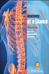 Book cover of Anatomy at a Glance (3rd ed.) by Omar Faiz