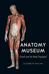 Book cover of Anatomy Museum by Elizabeth Hallam