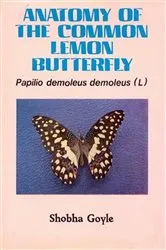 Book cover of Anatomy of The Common Lemon Butterfly Pupillo Demoleus Demoleus (L) by SHOBHAGOYLE