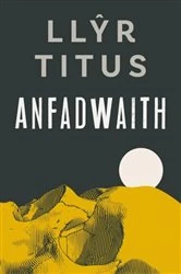 Book cover of Anfadwaith by Llyr Titus