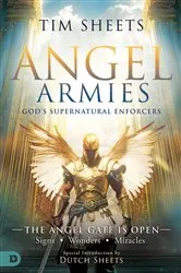 Book cover of Angel Armies: God's Supernatural Enforcers by Tim Sheets