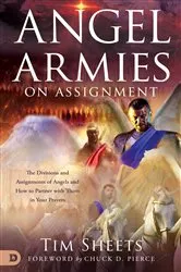 Book cover of Angel Armies on Assignment by Tim Sheets