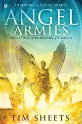 Book cover of Angel Armies by Tim Sheets