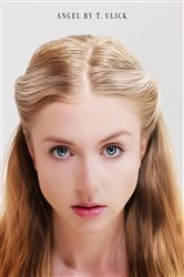 Book cover of Angel by T. Ulick by Terry Ulick