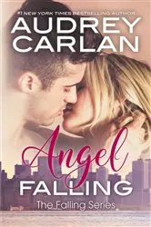 Book cover of Angel Falling by Victoria Larque