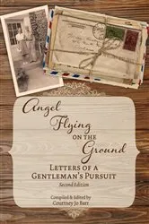 Book cover of Angel Flying on the Ground by Barr, Courtney , Jo