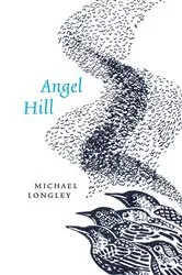 Book cover of Angel Hill by Michael Longley