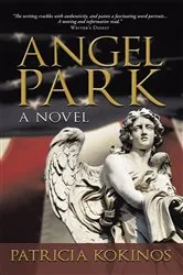 Book cover of Angel Park by Unknown