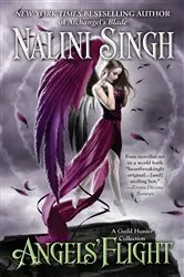 Book cover of Angels Flight by Michael Connelly