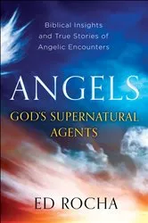 Book cover of Angels-God's Supernatural Agents by Ed Rocha