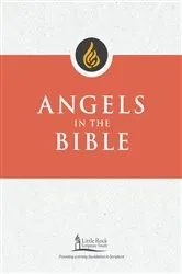 Book cover of Angels in the Bible by George M. Smiga