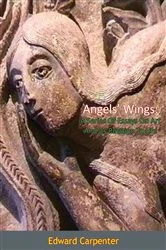 Book cover of Angels' Wings by Edward Carpenter