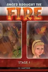 Book cover of Anger Brought The Fire by CH. Martinne