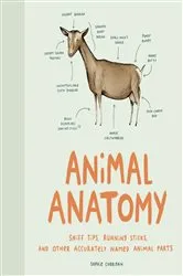 Book cover of Animal Anatomy by Sophie Corrigan
