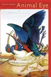 Book cover of Animal Eye by Cindy Koepp