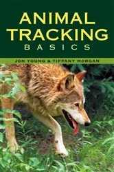 Book cover of Animal Tracking Basics by Tiffany Morgan