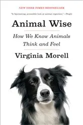 Book cover of Animal Wise by Virginia Morell